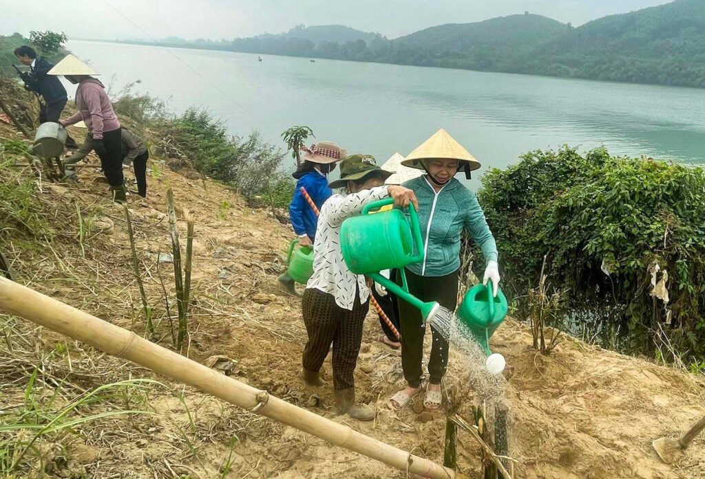 Nông dân Nghệ An trồng tre tạo bờ kè sinh thái dọc sông Lam