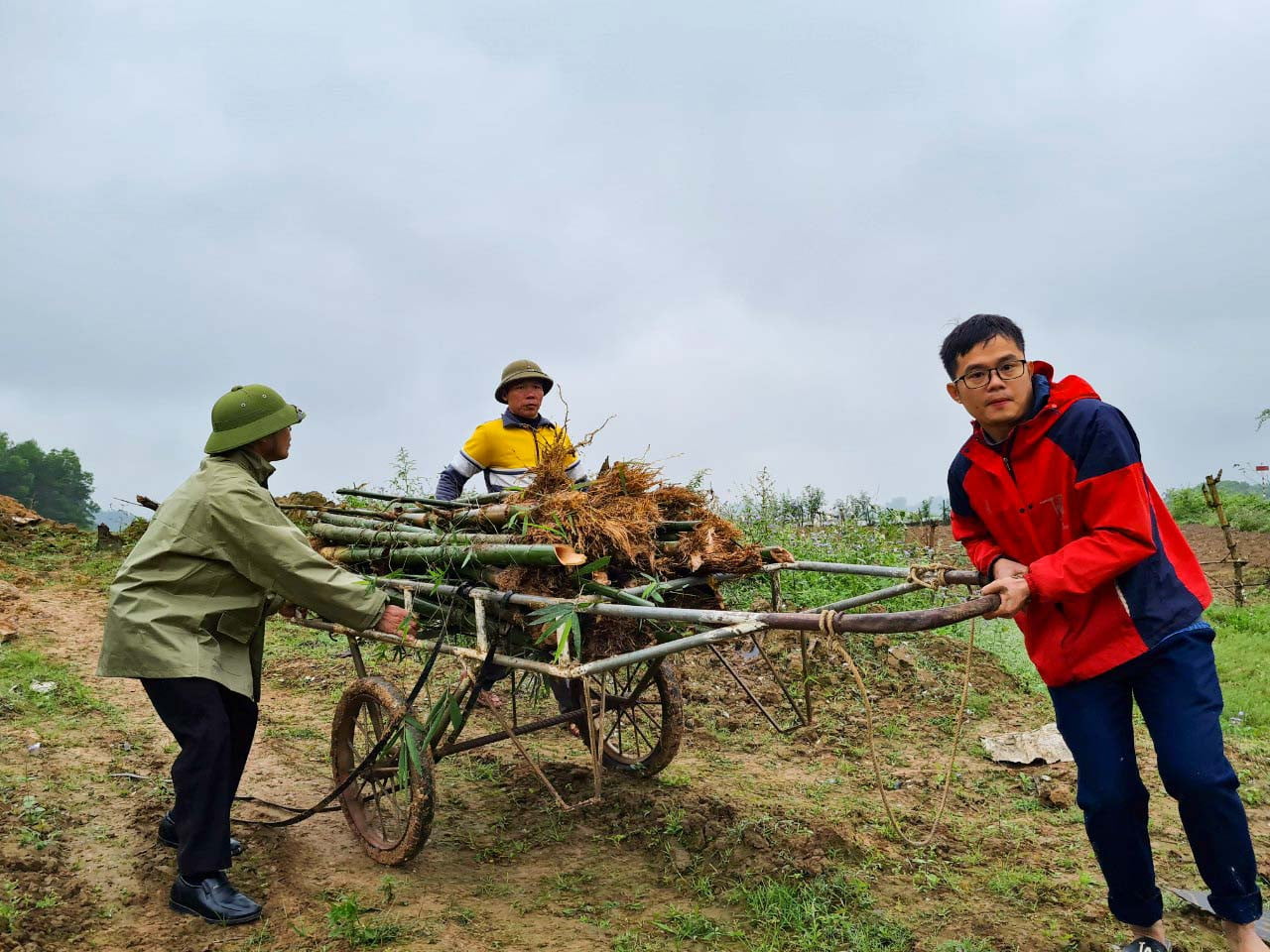 Nông dân Nghệ An trồng tre tạo bờ kè sinh thái dọc sông Lam