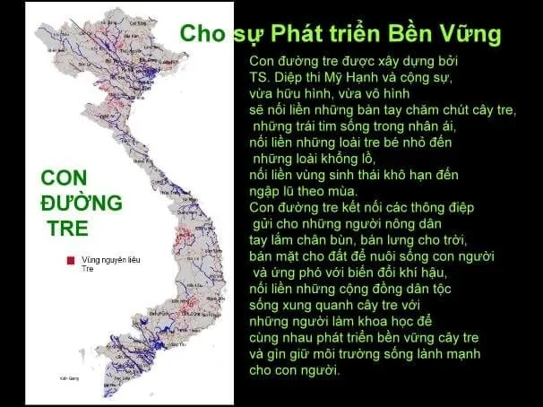 Con đường tre Việt Nam